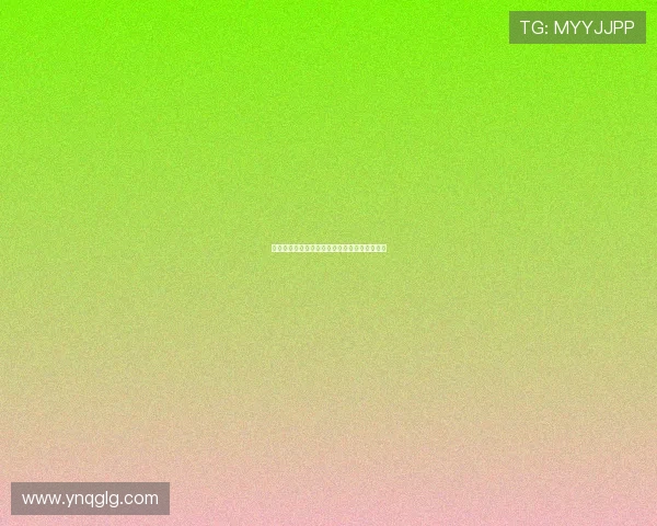 巴黎奥运篮球赛事全解析不止梦之队的精彩对决