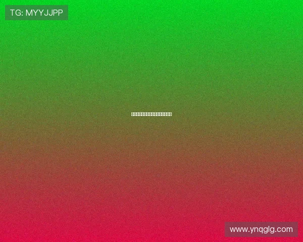 冰壶：冰面上的智慧较量与力量对决